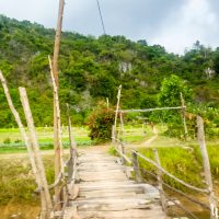 Yet another wooden bridge. Crossing it by scooter is always fun!