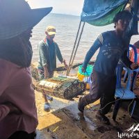 Fishermen bringing their last catch