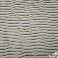 Crazy sand patterns