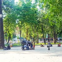 Drawing class in the park, learning perspectives