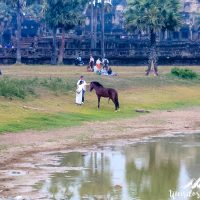 The horse really seemed to enjoy the presence of the tourists...