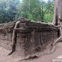 Ta Phrom