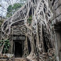 Ta Phrom