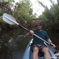 kayaking mangrove kampot cambodia