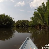 kayaking mangrove kampot cambodia