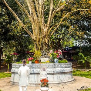 One pilar pagoda, woman praying