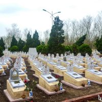 Military cemetery