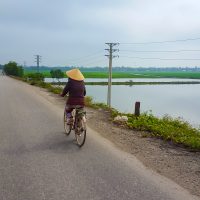 Many farmers actually wear the traditional hat