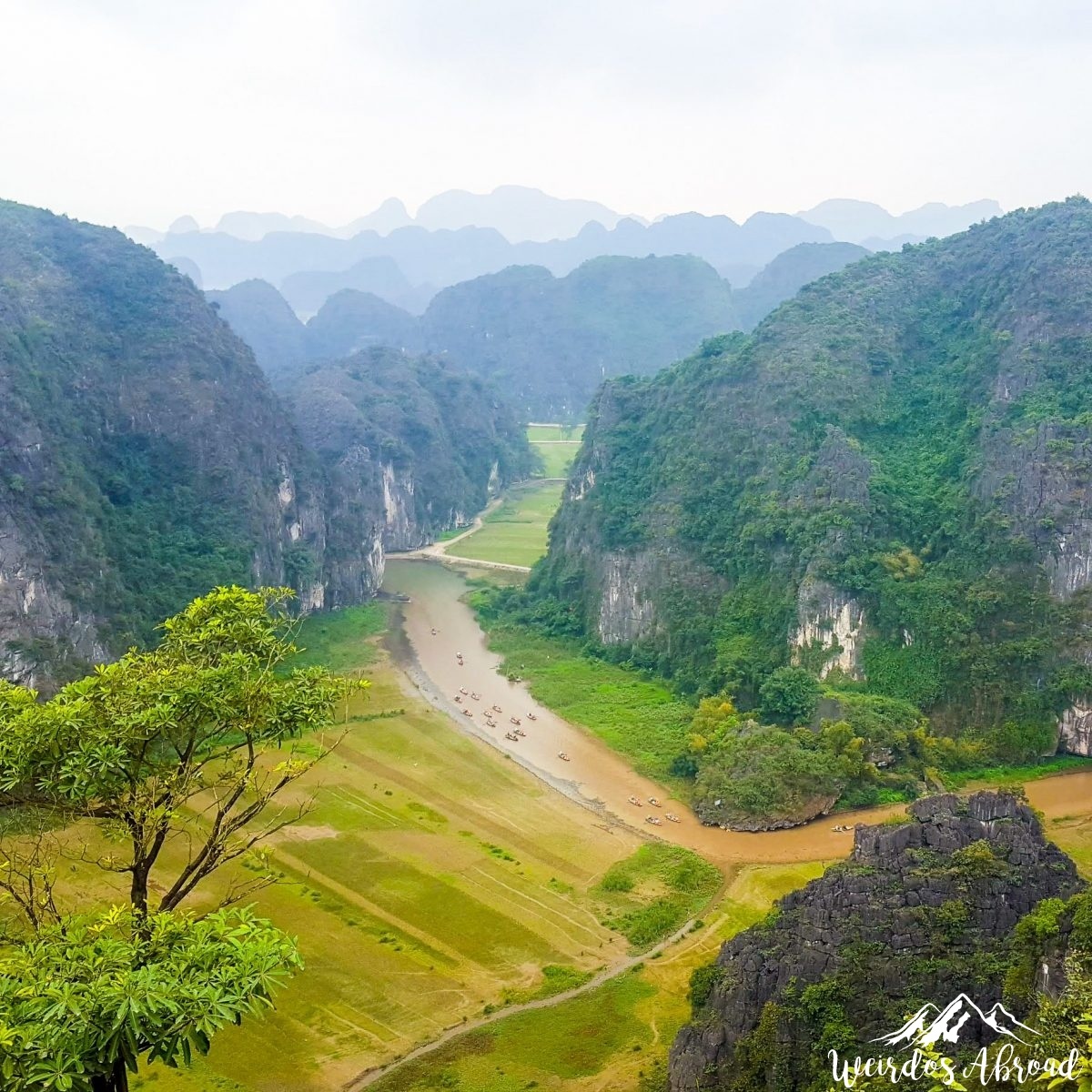 Landscape from the top of Hang Múa