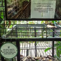 Would you spend your life in such a cage? Bears neither...