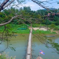 The bamboo bridge!