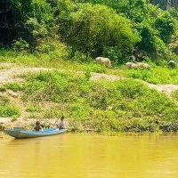 Life by the Mekong