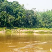 Life by the Mekong