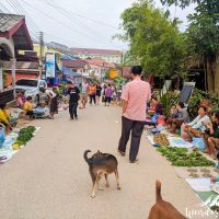 Morning market