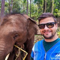 Elephant selfie!