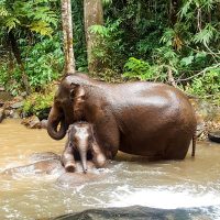 Look at Ellie climbing on Son!