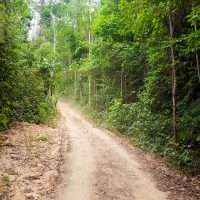 The dirt road to the camp