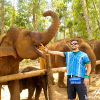 Feeding the elephants straight in the mouth!