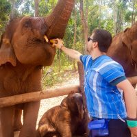 Feeding the elephants straight in the mouth!