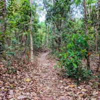 Beautiful trail