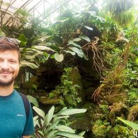 A little waterfall and pond in the glasshouse