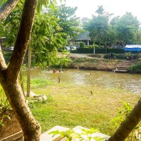 Swimming in Pai river