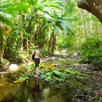 Crossing on banana leaves!