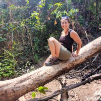 Going over a fallen tree