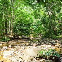 A very beautiful nature trail!