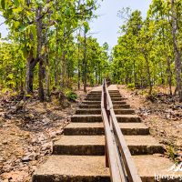 The stairs to the viewpoint