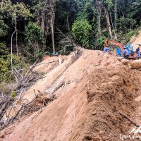 Workers clearing the way