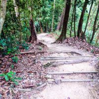 A few stairs