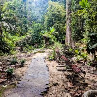 Nice trail in the Botanical Garden