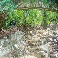 The river in the Botanical Garden