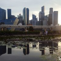 Marina Bay at sunset