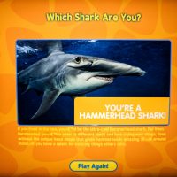 The quizz told us we were both Hammerhead! It's gonna get noisy!