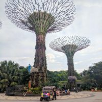 Supertree Grove at Gardens by the Bay