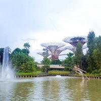 Supertree Grove at Gardens by the Bay