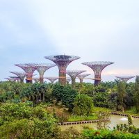 Supertree Grove at Gardens by the Bay