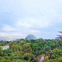 Supertree Grove at Gardens by the Bay