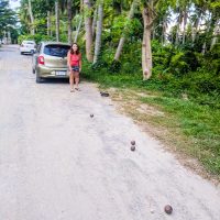 Playing petanque!