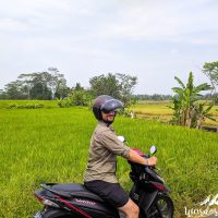 On our way to Borobodur