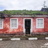 Green roof