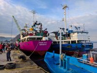 Early in the morning, the ships are ready for departures in the port of Labuan Bajo.