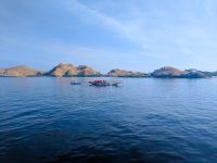 Fishing boats on our way to the diving site.