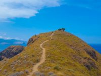 The trail to nowhere, Padar Island, Komodo National Park.