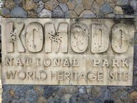 Welcome to Komodo National Park, World Heritage Site.