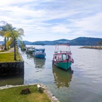 Colorful boats