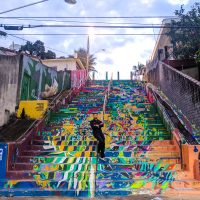 Cool dude on colorful stairs