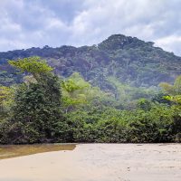 Beautiful jungle mountain in the back!